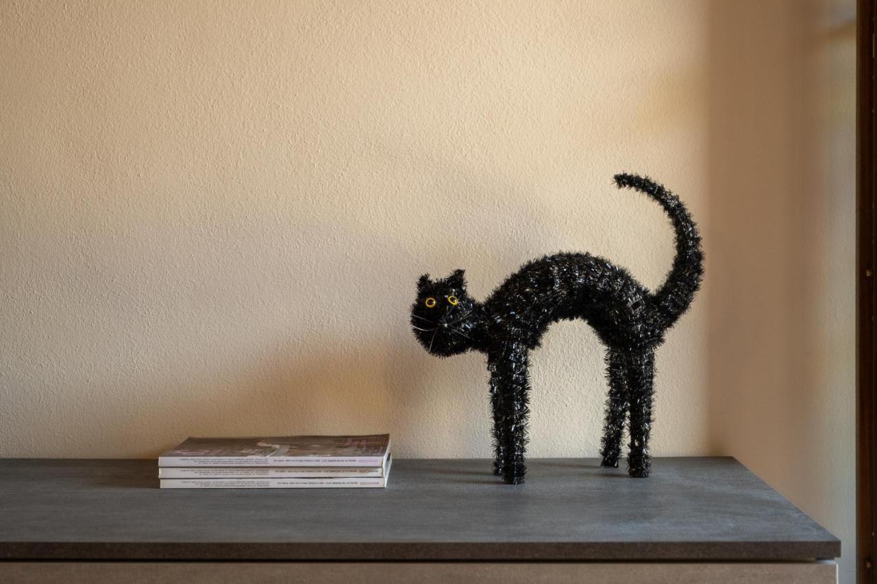 파라티코 Casa Del Gatto 아파트 외부 사진